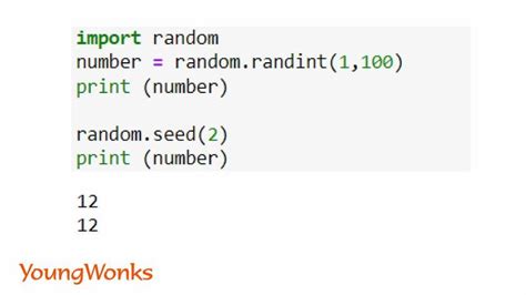 random id js|python random.